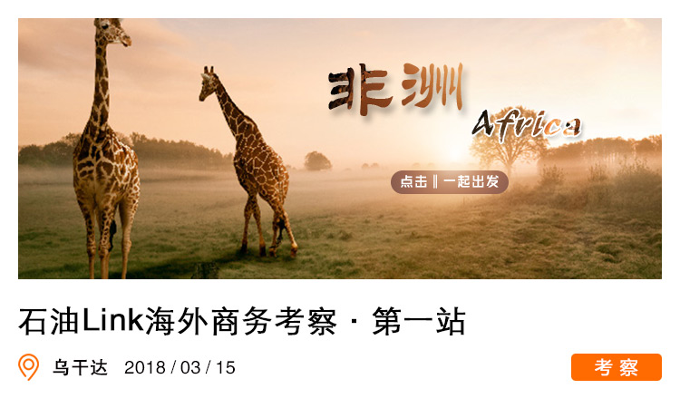 非洲油气高端商务考察